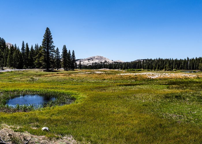 Landscape Photography