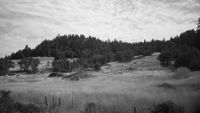 Landscape Photography